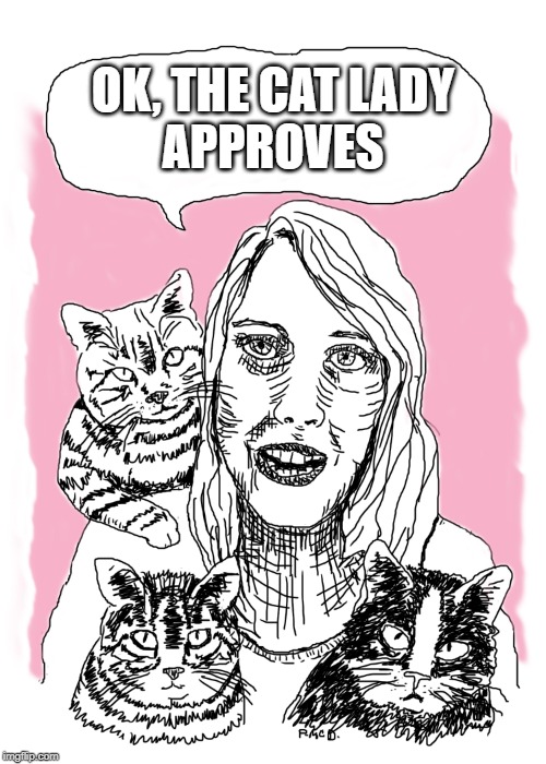 OK, the cat lady approves | OK, THE CAT LADY APPROVES | image tagged in cat lady approves,crazy cat lady,love cats | made w/ Imgflip meme maker