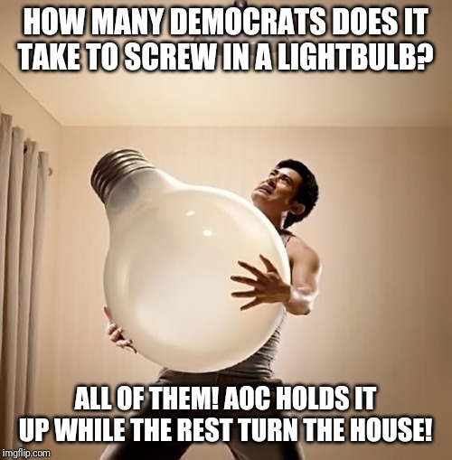 Lightbulb | HOW MANY DEMOCRATS DOES IT TAKE TO SCREW IN A LIGHTBULB? ALL OF THEM! AOC HOLDS IT UP WHILE THE REST TURN THE HOUSE! | image tagged in lightbulb | made w/ Imgflip meme maker