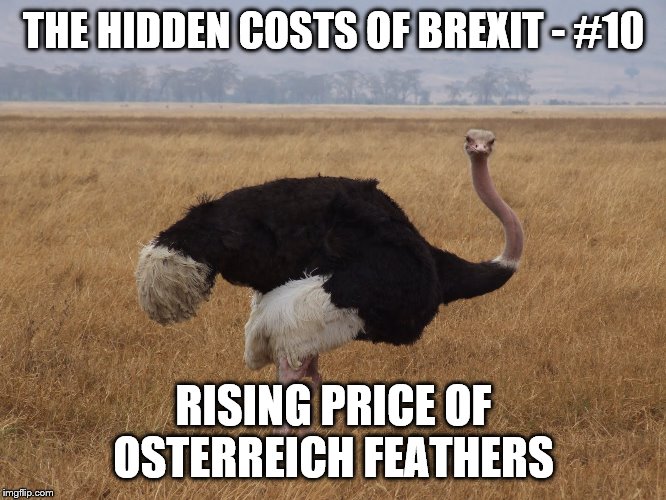 THE HIDDEN COSTS OF BREXIT - #10; RISING PRICE OF OSTERREICH FEATHERS | image tagged in brexit | made w/ Imgflip meme maker