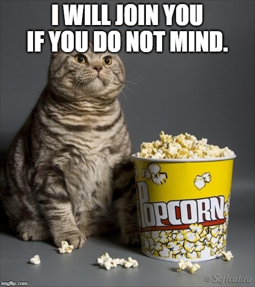 Cat eating popcorn | I WILL JOIN YOU IF YOU DO NOT MIND. | image tagged in cat eating popcorn | made w/ Imgflip meme maker