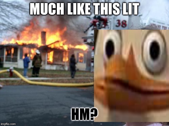 MUCH LIKE THIS LIT HM? | made w/ Imgflip meme maker