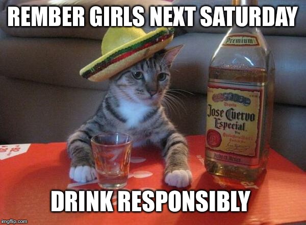 alcohol cat | REMBER GIRLS NEXT SATURDAY; DRINK RESPONSIBLY | image tagged in alcohol cat | made w/ Imgflip meme maker
