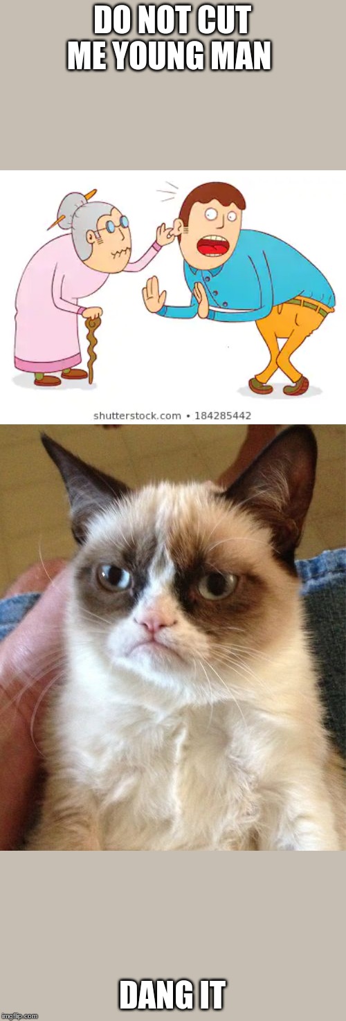 DO NOT CUT ME YOUNG MAN; DANG IT | image tagged in memes,grumpy cat | made w/ Imgflip meme maker