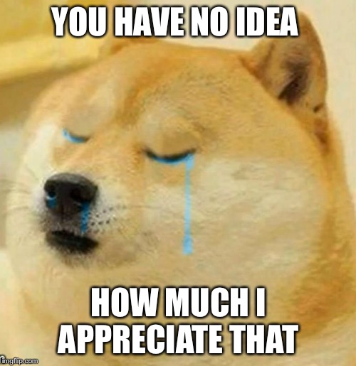 sad doge | YOU HAVE NO IDEA HOW MUCH I APPRECIATE THAT | image tagged in sad doge | made w/ Imgflip meme maker