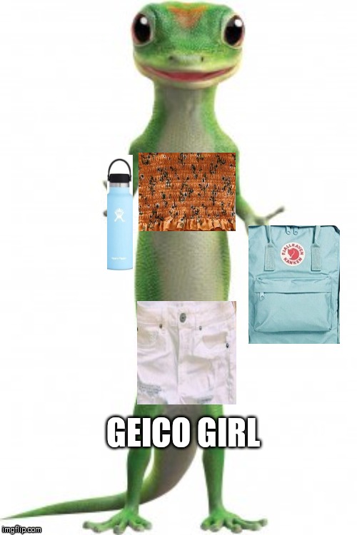 Geico girl | GEICO GIRL | image tagged in vsco girl,vsco girl memes,geico girl,costco girl,tabasco girl | made w/ Imgflip meme maker