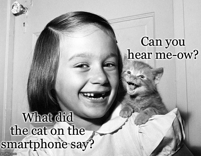 Best Cat Puns | Can you hear me-ow? What did the cat on the smartphone say? | image tagged in best cat puns,memes | made w/ Imgflip meme maker