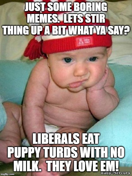 bored baby | JUST SOME BORING MEMES.  LETS STIR THING UP A BIT WHAT YA SAY? LIBERALS EAT PUPPY TURDS WITH NO MILK.  THEY LOVE EM! | image tagged in bored baby | made w/ Imgflip meme maker
