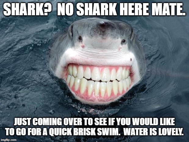 sharkteeth | SHARK?  NO SHARK HERE MATE. JUST COMING OVER TO SEE IF YOU WOULD LIKE TO GO FOR A QUICK BRISK SWIM.  WATER IS LOVELY. | image tagged in sharkteeth | made w/ Imgflip meme maker