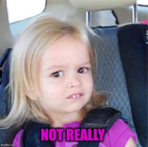 Confused Little Girl | NOT REALLY | image tagged in confused little girl | made w/ Imgflip meme maker