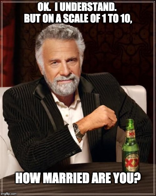 The Most Interesting Man In The World Meme | OK.  I UNDERSTAND.  BUT ON A SCALE OF 1 TO 10, HOW MARRIED ARE YOU? | image tagged in memes,the most interesting man in the world | made w/ Imgflip meme maker