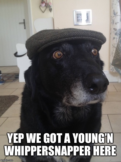 Back In My Day Dog | YEP WE GOT A YOUNG’N WHIPPERSNAPPER HERE | image tagged in back in my day dog | made w/ Imgflip meme maker