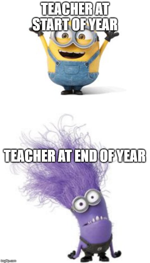 TEACHER AT START OF YEAR; TEACHER AT END OF YEAR | image tagged in happy minion,purple minion | made w/ Imgflip meme maker