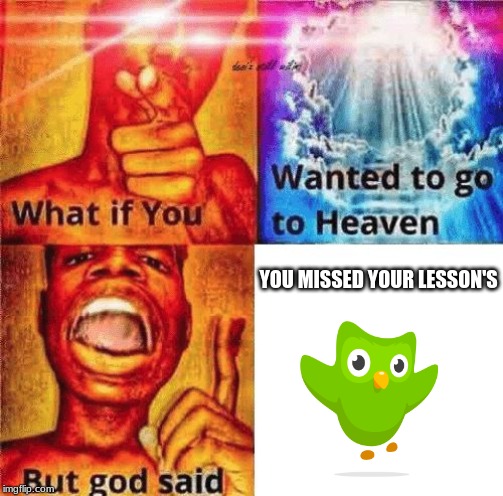 What if you wanted to go to heaven? |  YOU MISSED YOUR LESSON'S | image tagged in what if you wanted to go to heaven,duolingo bird,god,unfunny,overrated,memes | made w/ Imgflip meme maker