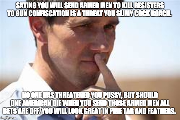 SAYING YOU WILL SEND ARMED MEN TO KILL RESISTERS TO GUN CONFISCATION IS A THREAT YOU SLIMY COCK ROACH. NO ONE HAS THREATENED YOU PUSSY, BUT SHOULD ONE AMERICAN DIE WHEN YOU SEND THOSE ARMED MEN ALL BETS ARE OFF. YOU WILL LOOK GREAT IN PINE TAR AND FEATHERS. | made w/ Imgflip meme maker