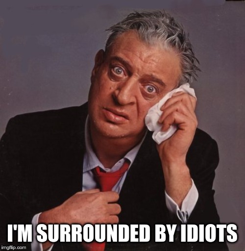 Rodney Dangerfield | I'M SURROUNDED BY IDIOTS | image tagged in rodney dangerfield | made w/ Imgflip meme maker
