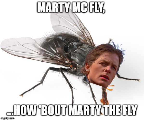 Marty The Fly | MARTY MC FLY, ...HOW 'BOUT MARTY THE FLY | image tagged in back to the future,fly,messed up,marty mcfly,great | made w/ Imgflip meme maker