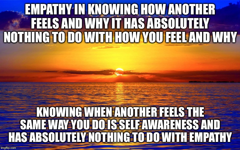 Those Who Don’t Know This By Instinct Are Just Animals | EMPATHY IN KNOWING HOW ANOTHER FEELS AND WHY IT HAS ABSOLUTELY NOTHING TO DO WITH HOW YOU FEEL AND WHY; KNOWING WHEN ANOTHER FEELS THE SAME WAY YOU DO IS SELF AWARENESS AND HAS ABSOLUTELY NOTHING TO DO WITH EMPATHY | image tagged in inspirational quotes | made w/ Imgflip meme maker