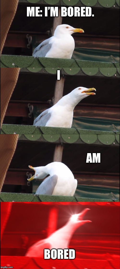 Inhaling Seagull | ME: I’M BORED. I; AM; BORED | image tagged in memes,inhaling seagull | made w/ Imgflip meme maker