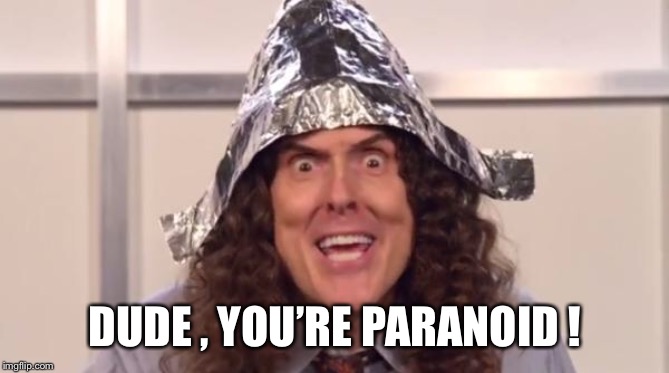 weird al foilhat | DUDE , YOU’RE PARANOID ! | image tagged in weird al foilhat | made w/ Imgflip meme maker