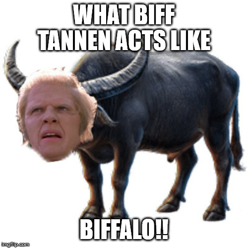 Biffalo | WHAT BIFF TANNEN ACTS LIKE; BIFFALO!! | image tagged in back to the future,biff tannen,buffalo,messed up,great | made w/ Imgflip meme maker