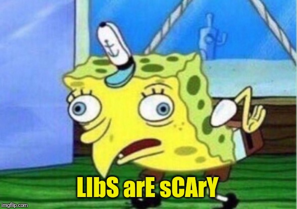 Mocking Spongebob Meme | LIbS arE sCArY | image tagged in memes,mocking spongebob | made w/ Imgflip meme maker