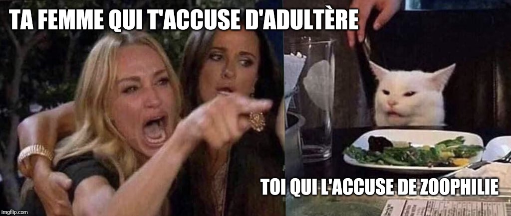 woman yelling at cat | TA FEMME QUI T'ACCUSE D'ADULTÈRE; TOI QUI L'ACCUSE DE ZOOPHILIE | image tagged in woman yelling at cat | made w/ Imgflip meme maker