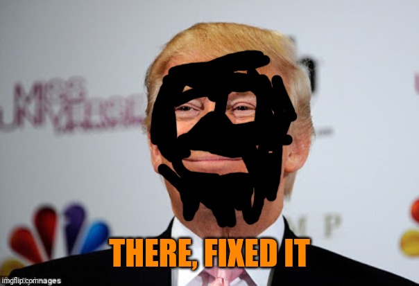 Donald trump approves | THERE, FIXED IT | image tagged in donald trump approves | made w/ Imgflip meme maker