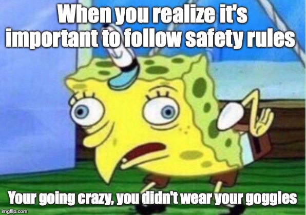 Mocking Spongebob Meme | When you realize it's important to follow safety rules; Your going crazy, you didn't wear your goggles | image tagged in memes,mocking spongebob | made w/ Imgflip meme maker