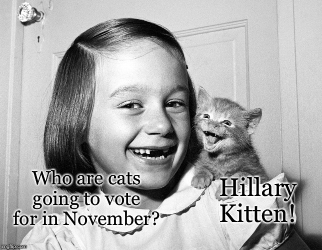 Best Cat Puns | Hillary Kitten! Who are cats going to vote for in November? | image tagged in best cat puns,memes | made w/ Imgflip meme maker