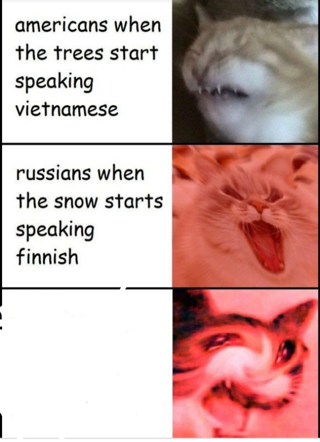Screaming cats Blank Meme Template