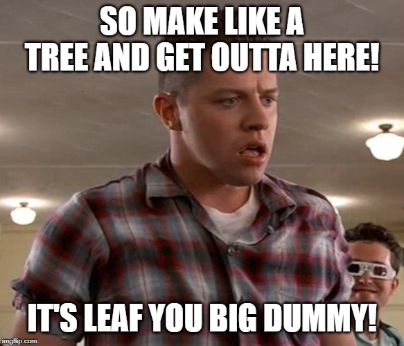 Young Biff | SO MAKE LIKE A TREE AND GET OUTTA HERE! IT'S LEAF YOU BIG DUMMY! | image tagged in young biff | made w/ Imgflip meme maker