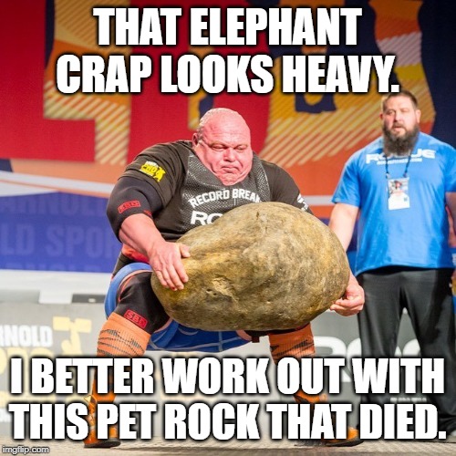 Strongman Rock | THAT ELEPHANT CRAP LOOKS HEAVY. I BETTER WORK OUT WITH THIS PET ROCK THAT DIED. | image tagged in strongman rock | made w/ Imgflip meme maker