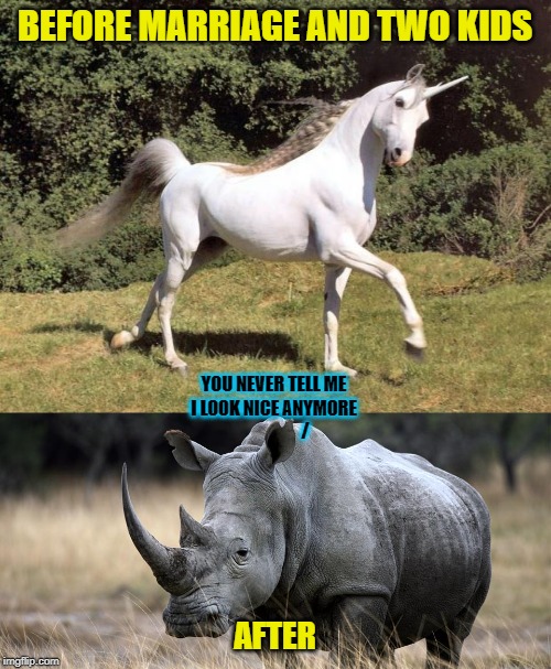 BEFORE MARRIAGE AND TWO KIDS AFTER YOU NEVER TELL ME I LOOK NICE ANYMORE                   / | image tagged in unicorns,rhino | made w/ Imgflip meme maker