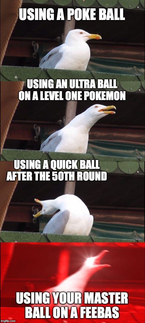 Inhaling Seagull | USING A POKE BALL; USING AN ULTRA BALL ON A LEVEL ONE POKEMON; USING A QUICK BALL AFTER THE 50TH ROUND; USING YOUR MASTER BALL ON A FEEBAS | image tagged in memes,inhaling seagull | made w/ Imgflip meme maker