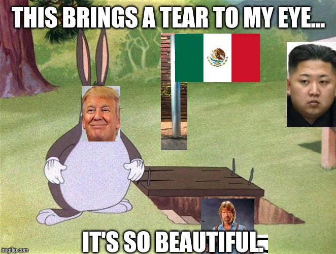 Big Chungus | THIS BRINGS A TEAR TO MY EYE... IT'S SO BEAUTIFUL. | image tagged in big chungus | made w/ Imgflip meme maker