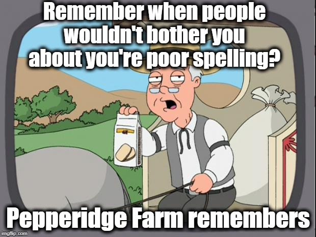 Pepridge farms | Remember when people wouldn't bother you about you're poor spelling? Pepperidge Farm remembers | image tagged in pepridge farms | made w/ Imgflip meme maker