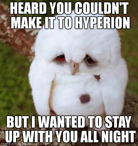 HEARD YOU COULDN'T MAKE IT TO HYPERION BUT I WANTED TO STAY UP WITH YOU ALL NIGHT | image tagged in sad owl  | made w/ Imgflip meme maker