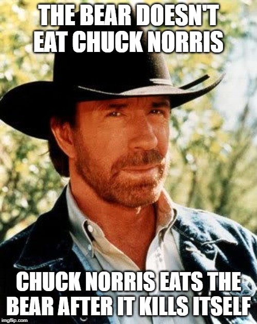 The "Bar" | THE BEAR DOESN'T EAT CHUCK NORRIS; CHUCK NORRIS EATS THE BEAR AFTER IT KILLS ITSELF | image tagged in memes,chuck norris | made w/ Imgflip meme maker