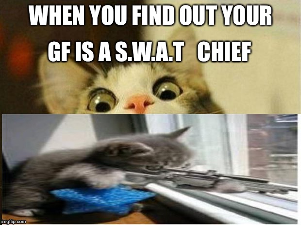Scared Cat | WHEN YOU FIND OUT YOUR; GF IS A S.W.A.T   CHIEF | image tagged in memes,scared cat | made w/ Imgflip meme maker