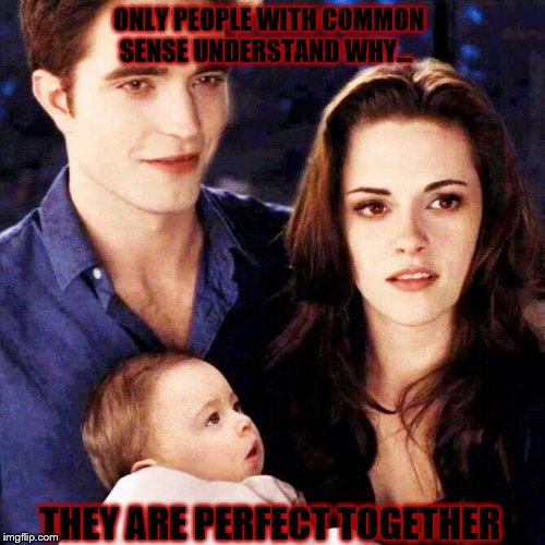 ONLY PEOPLE WITH COMMON SENSE UNDERSTAND WHY... THEY ARE PERFECT TOGETHER | image tagged in twilight | made w/ Imgflip meme maker