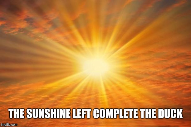 sunshine | THE SUNSHINE LEFT COMPLETE THE DUCK | image tagged in sunshine | made w/ Imgflip meme maker