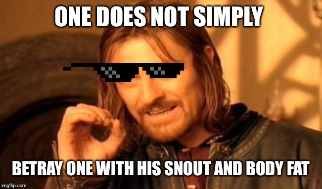 One Does Not Simply | ONE DOES NOT SIMPLY; BETRAY ONE WITH HIS SNOUT AND BODY FAT | image tagged in memes,one does not simply | made w/ Imgflip meme maker