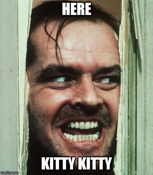 here kitty | HERE; KITTY KITTY | image tagged in jack nicholson shining,cats | made w/ Imgflip meme maker