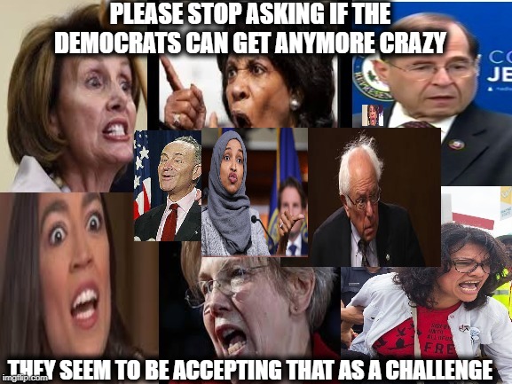 The Democratic party is a mental illness | PLEASE STOP ASKING IF THE DEMOCRATS CAN GET ANYMORE CRAZY; THEY SEEM TO BE ACCEPTING THAT AS A CHALLENGE | image tagged in democrats,democratic party | made w/ Imgflip meme maker