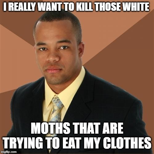 Kill Whitey | I REALLY WANT TO KILL THOSE WHITE; MOTHS THAT ARE TRYING TO EAT MY CLOTHES | image tagged in memes,successful black man | made w/ Imgflip meme maker