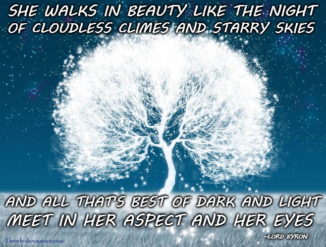 Tree of the Two Worlds | SHE WALKS IN BEAUTY LIKE THE NIGHT; OF CLOUDLESS CLIMES AND STARRY SKIES; AND ALL THAT'S BEST OF DARK AND LIGHT; MEET IN HER ASPECT AND HER EYES; ~LORD BYRON | image tagged in tree of the two worlds | made w/ Imgflip meme maker