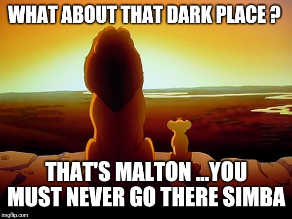 Lion King Meme | WHAT ABOUT THAT DARK PLACE ? THAT'S MALTON ...YOU MUST NEVER GO THERE SIMBA | image tagged in memes,lion king | made w/ Imgflip meme maker