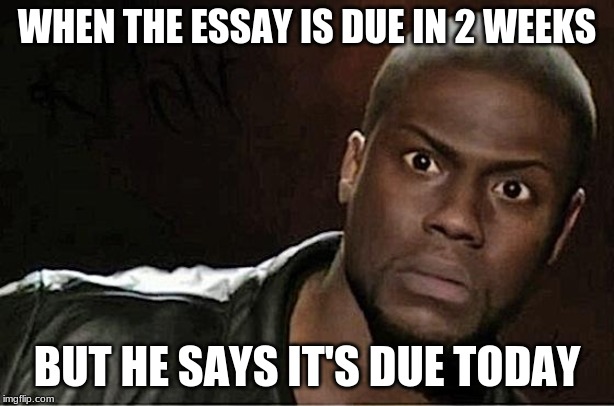 Kevin Hart Meme | WHEN THE ESSAY IS DUE IN 2 WEEKS; BUT HE SAYS IT'S DUE TODAY | image tagged in memes,kevin hart | made w/ Imgflip meme maker