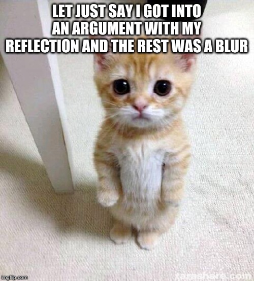 Cute Cat Meme | LET JUST SAY I GOT INTO AN ARGUMENT WITH MY REFLECTION AND THE REST WAS A BLUR | image tagged in memes,cute cat | made w/ Imgflip meme maker