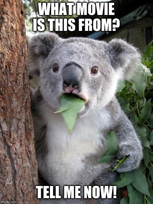 Surprised Koala Meme | WHAT MOVIE IS THIS FROM? TELL ME NOW! | image tagged in memes,surprised koala | made w/ Imgflip meme maker